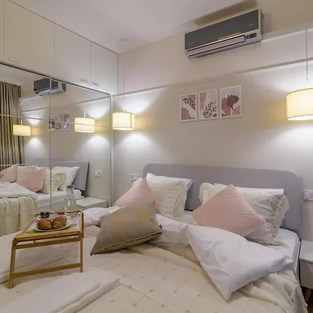 Black Sea Dolphin Warna