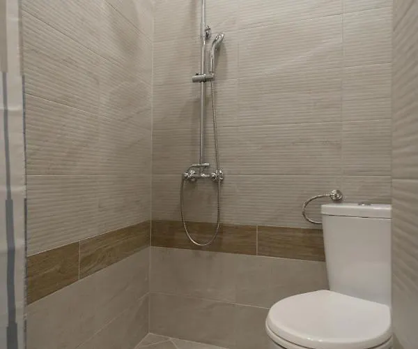 Black Sea Dolphin Varna